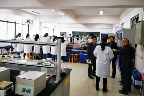 我院食品科學與工程本科專業(yè)接受校內(nèi)專業(yè)評估